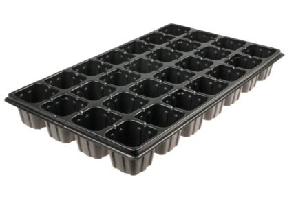 Wielodoniczka 28 komórek