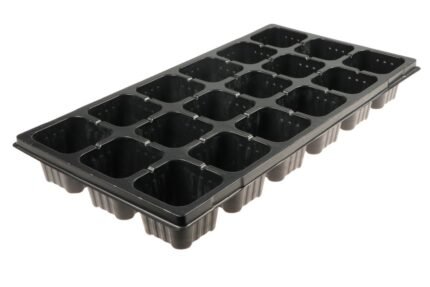 Wielodoniczka 18 komórek